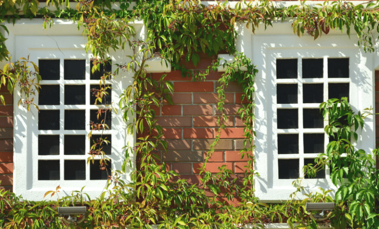 Sash & Case Windows Direct