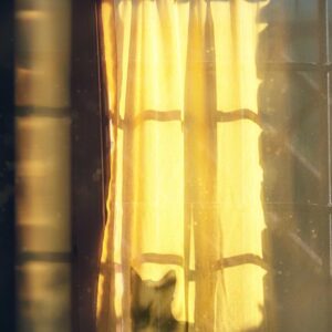 6 Stylish Ideas for Dressing Your Windows
